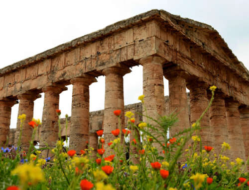 Escursione a Segesta, Erice, Marsala e Saline