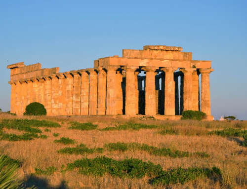 Escursione al Parco archeologico di Selinunte