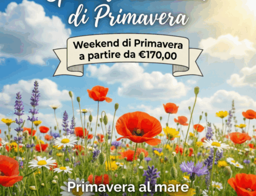 Promo Primavera 2026